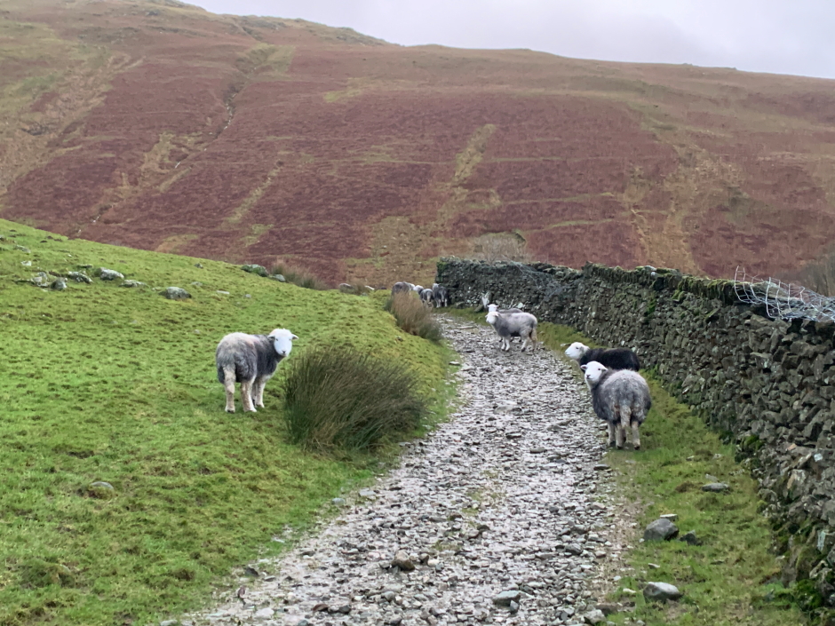 Troutbeck Tongue and Wansfell
